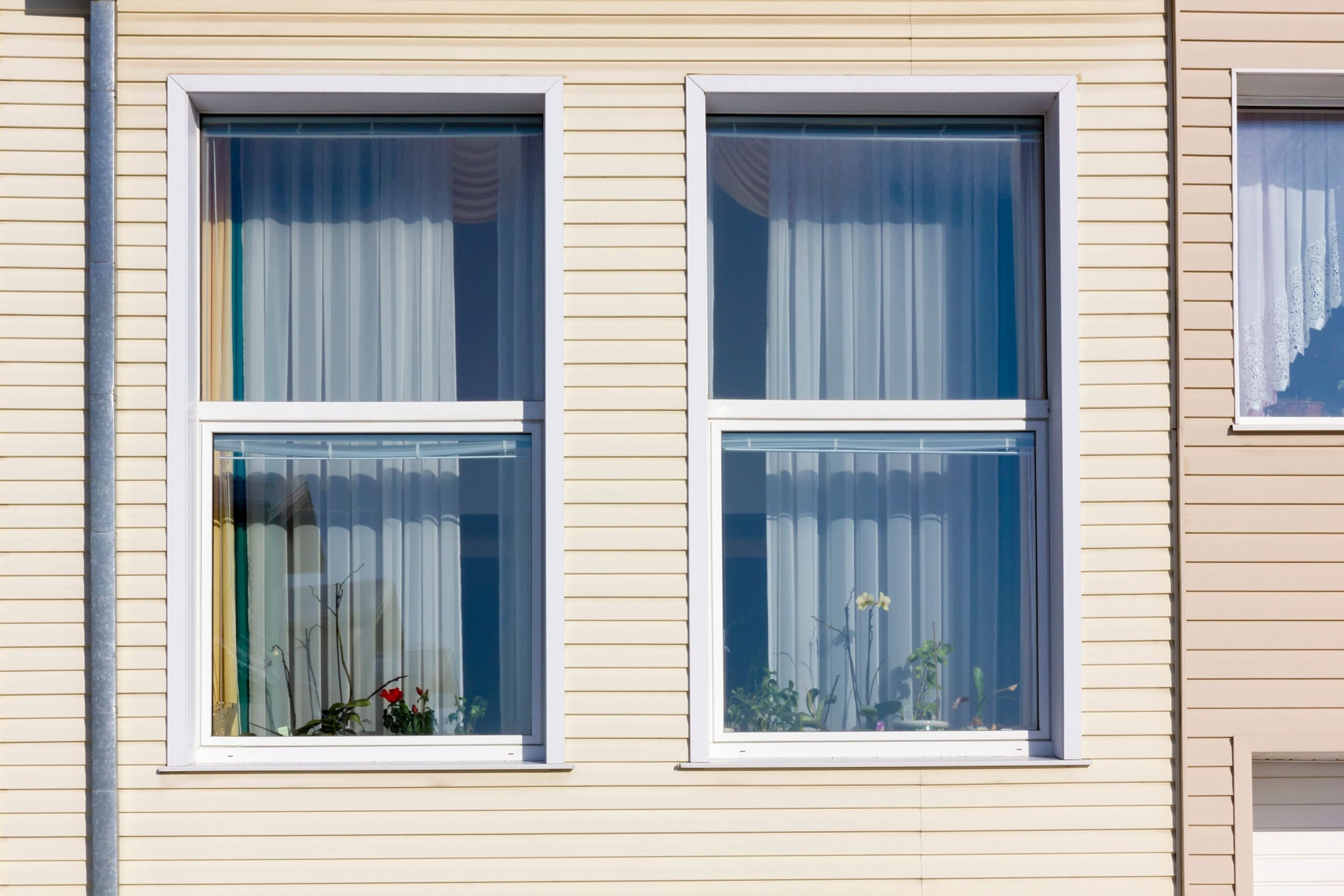 vinyl windows