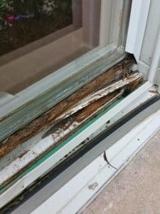 See how the clad rotted off of this 12 year old Pella window?