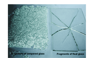 Tempered Glass